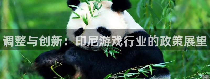 新宝GG官网客服怎么样