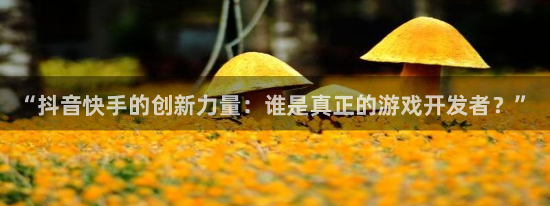 新宝GG官网登录注册账号安全吗可靠吗：“抖音快手的创新力量：谁是真正的游戏开发者？”