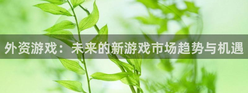 陕西新宝GG子文化创意有限公司是做什么的：外资游戏：未来的新游戏市场趋势与机遇