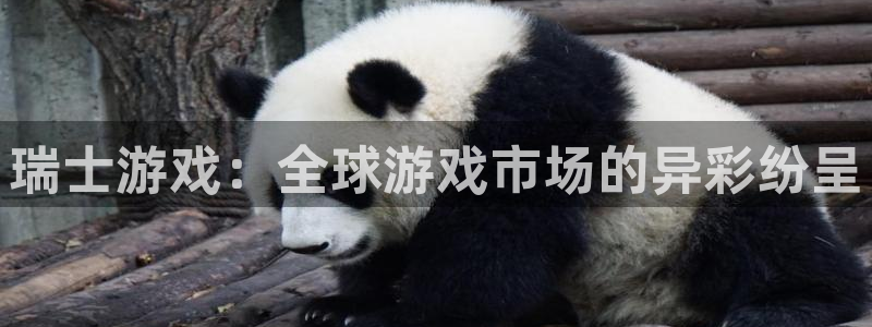 作者新宝GG子小说