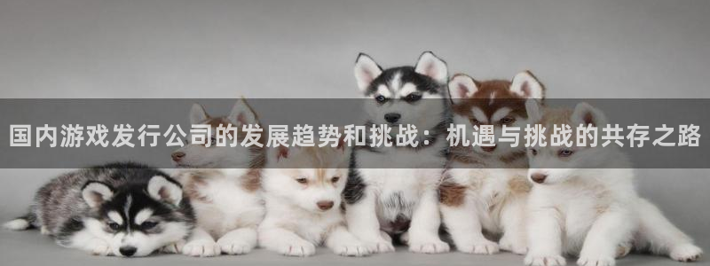 新宝GG子小说