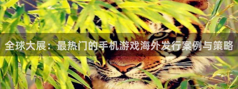 新宝GG衣服怎么样