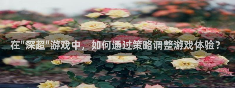 东莞新宝GG信息科技有限公司